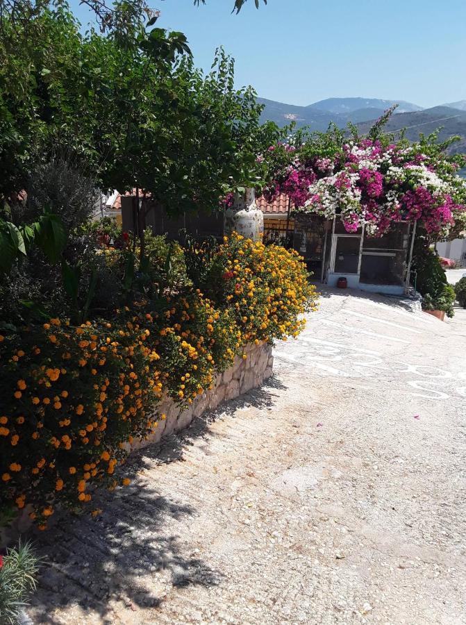 Elenh House Apartment Argostoli  Ngoại thất bức ảnh