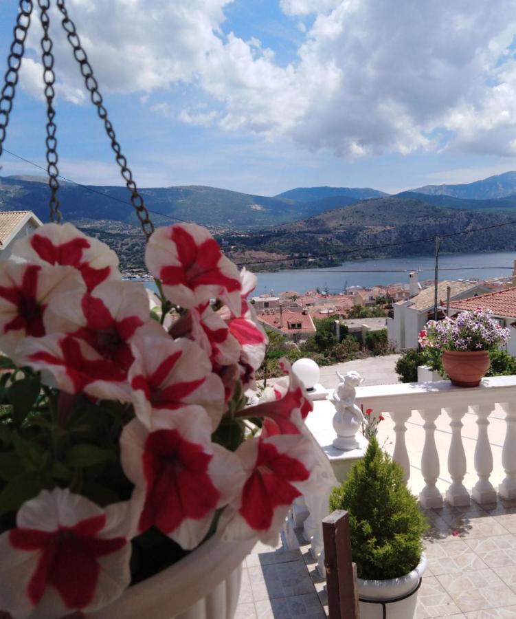 Elenh House Apartment Argostoli  Ngoại thất bức ảnh