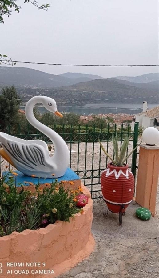 Elenh House Apartment Argostoli  Ngoại thất bức ảnh