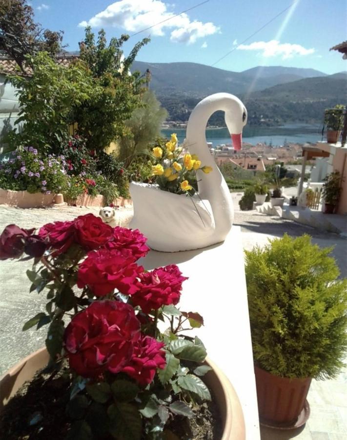 Elenh House Apartment Argostoli  Ngoại thất bức ảnh
