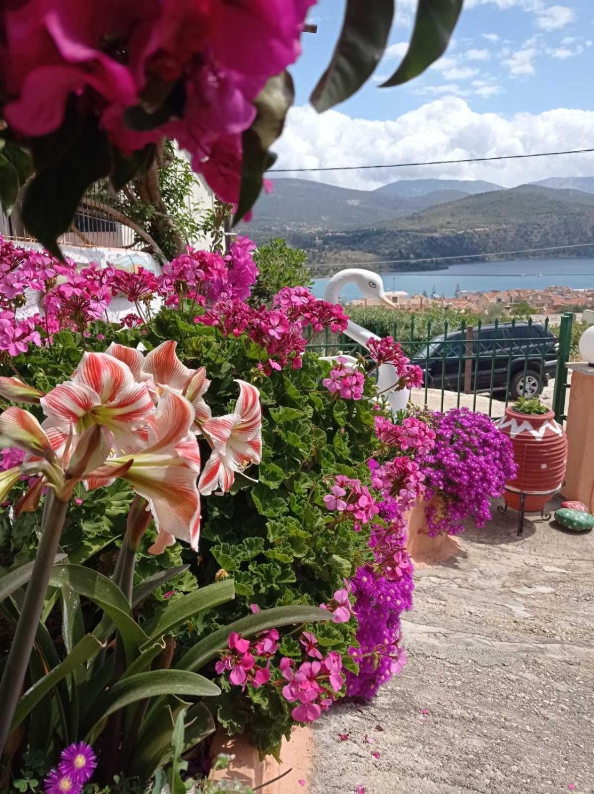 Elenh House Apartment Argostoli  Ngoại thất bức ảnh