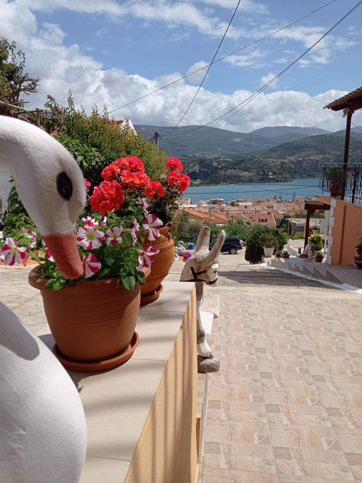 Elenh House Apartment Argostoli  Ngoại thất bức ảnh