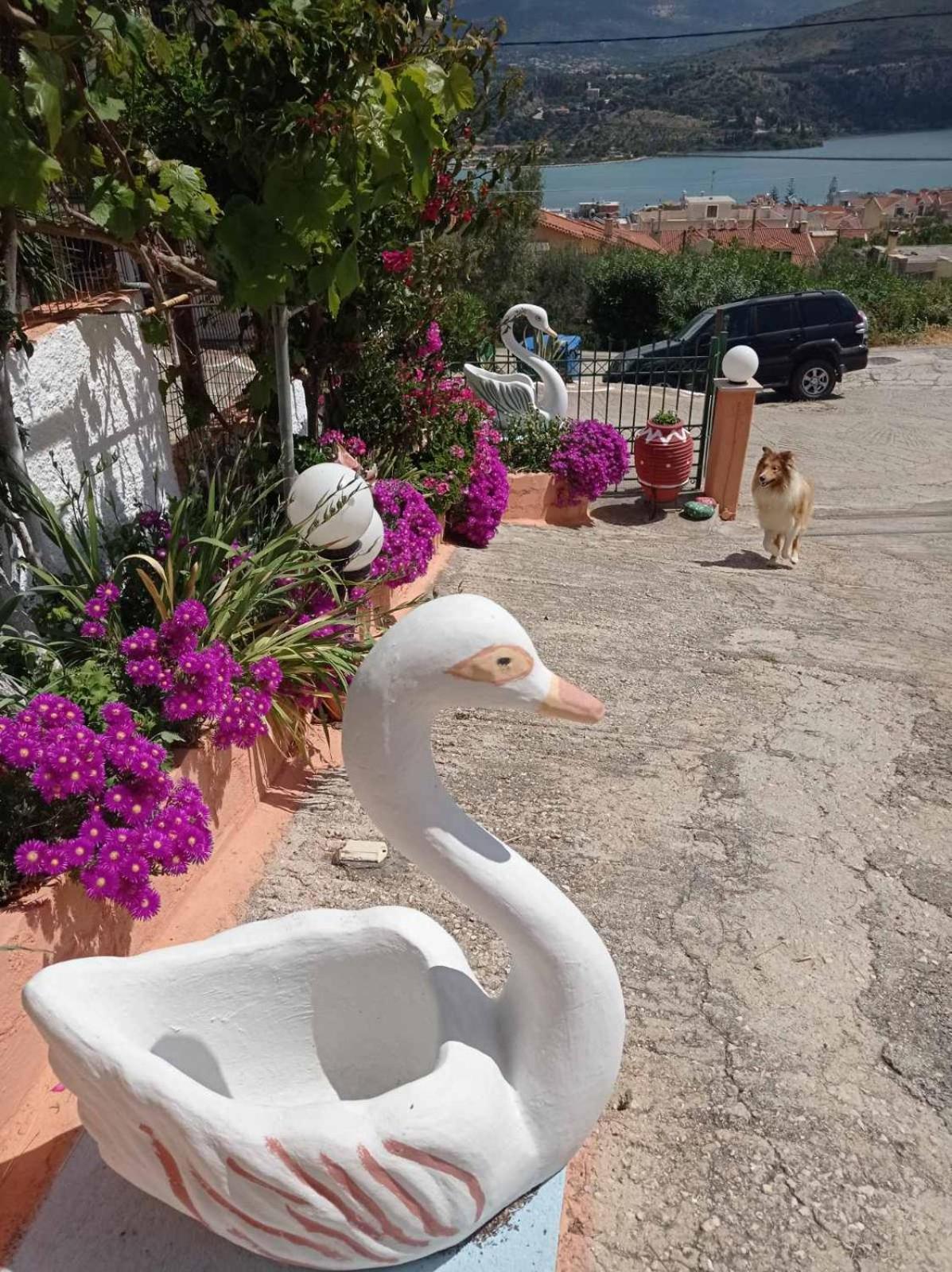 Elenh House Apartment Argostoli  Ngoại thất bức ảnh